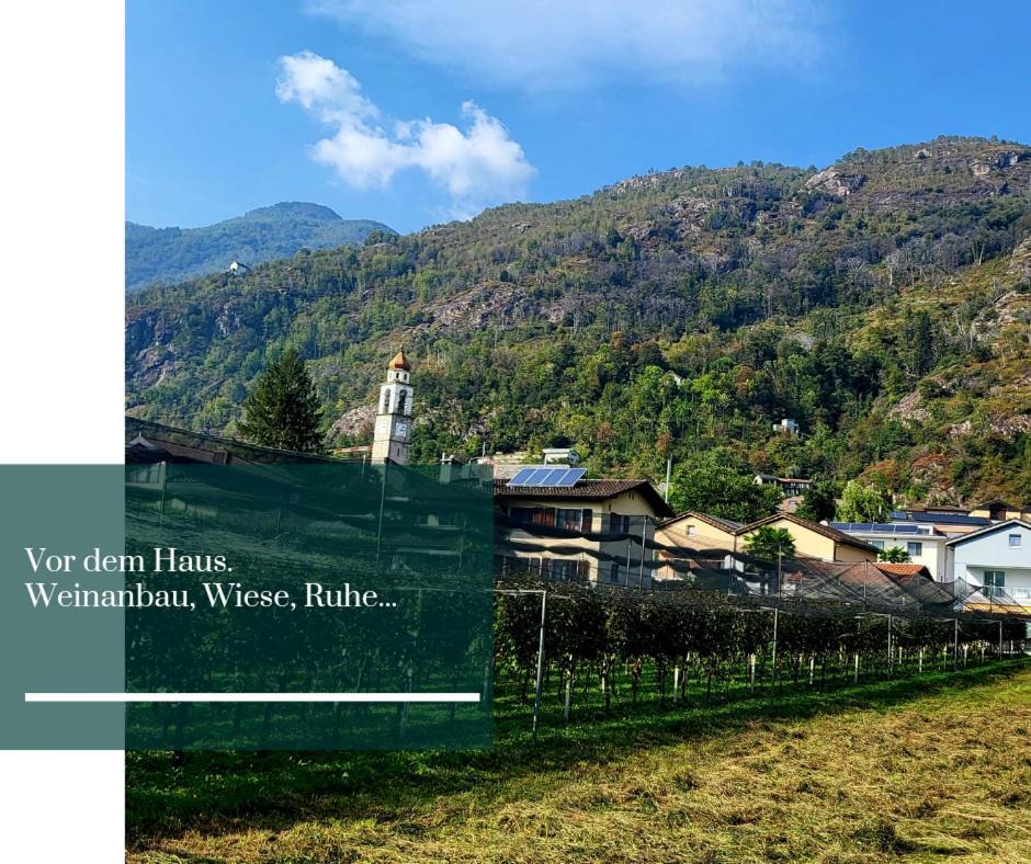 Appartement Traum Am Im Tessin - Nur 3km Von Ascona Oder Locarno Entfernt